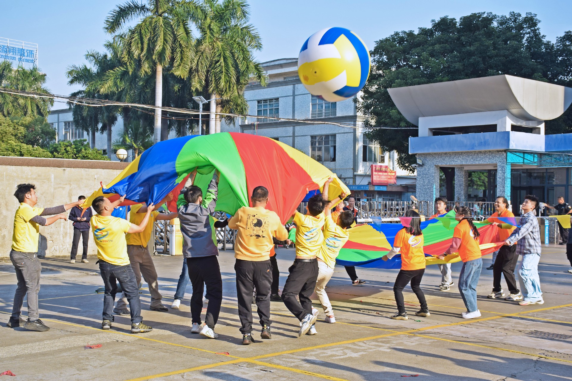 1734571234340875.jpg DSC_0633.JPG